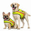 Miyake Reflective Dog Vest – High Visibility Safety Vest for Night Walking, Waterproof Adjustable Dog Hunting Vest for Outdoor Use