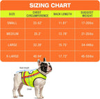 Miyake Reflective Dog Vest – High Visibility Safety Vest for Night Walking, Waterproof Adjustable Dog Hunting Vest for Outdoor Use