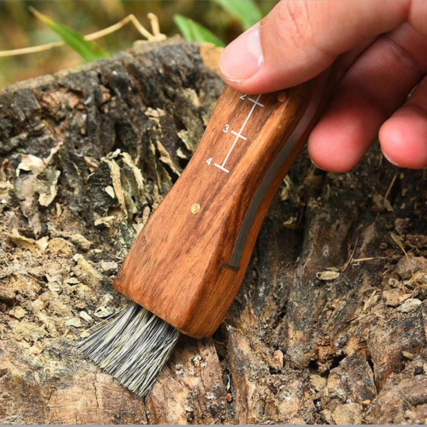 Miyake Folding Mushroom Knife with Brush & Wood Handle