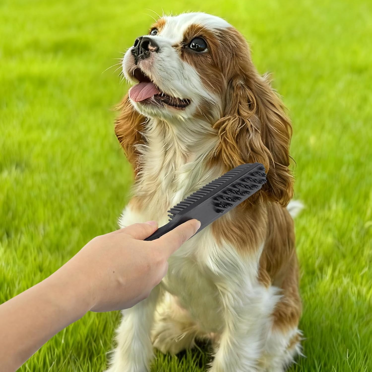 Miyake 3-in-1 Pet Hair Remover Brush with Pumice Stone & Squeegee