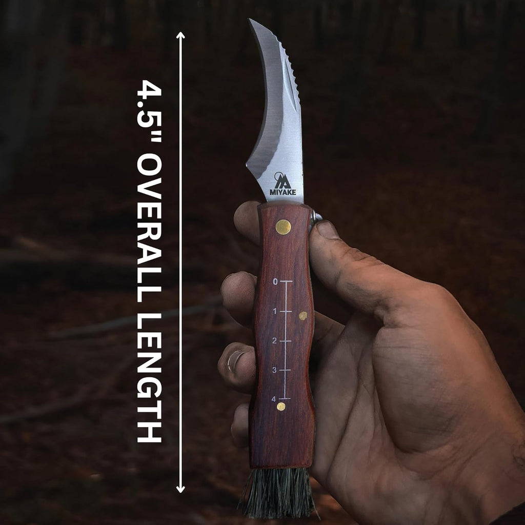 Miyake Folding Mushroom Knife with Brush & Wood Handle