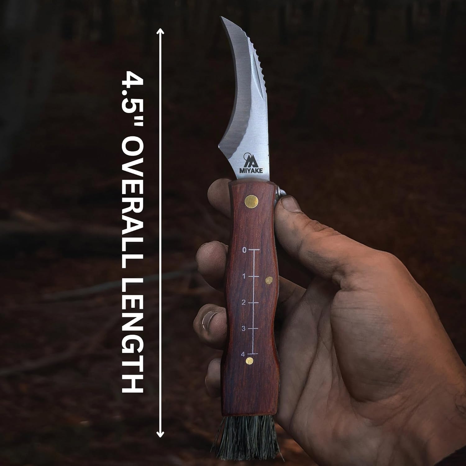Miyake Folding Mushroom Knife with Brush & Wood Handle