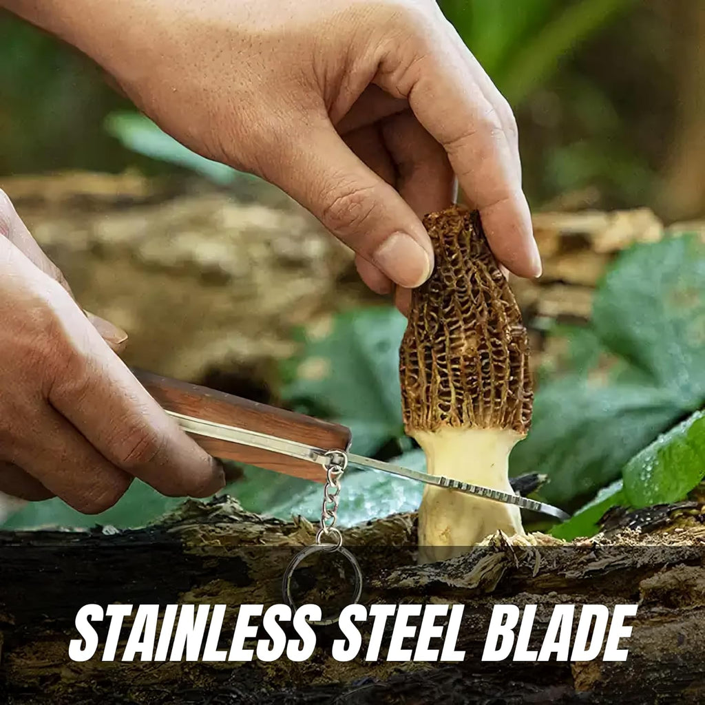 Miyake Folding Mushroom Knife with Brush & Wood Handle