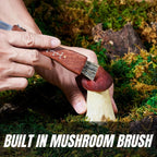 Miyake Folding Mushroom Knife with Brush & Wood Handle