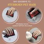 Miyake Mini Pet Hair Remover Squeegee for Car & Furniture