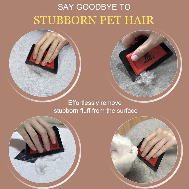 Miyake Mini Pet Hair Remover Squeegee for Car & Furniture Main Image