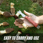 Miyake Folding Mushroom Knife with Brush & Wood Handle