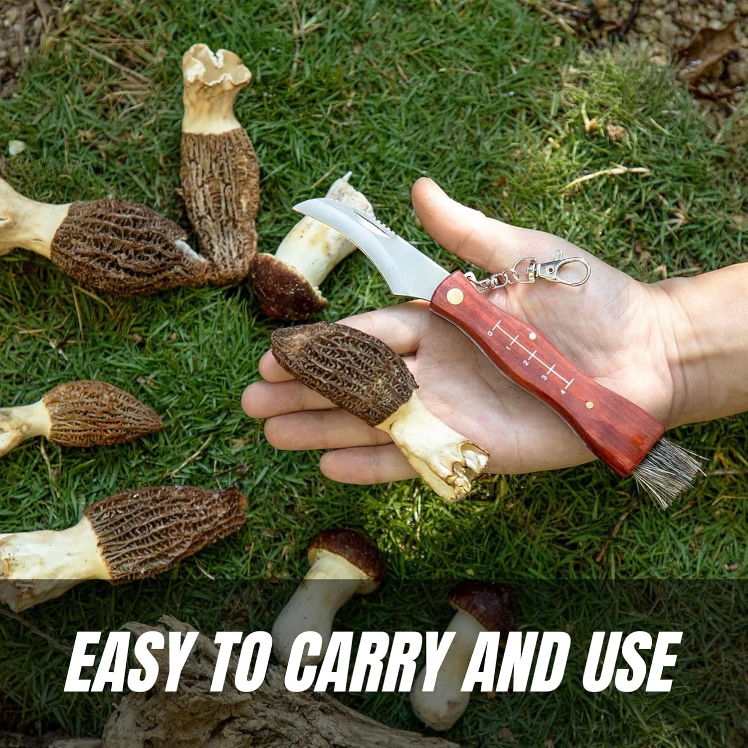 Miyake Folding Mushroom Knife with Brush & Wood Handle