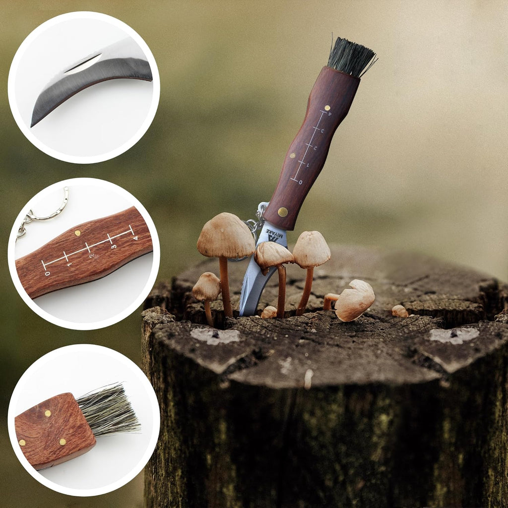 Miyake Folding Mushroom Knife with Brush & Wood Handle