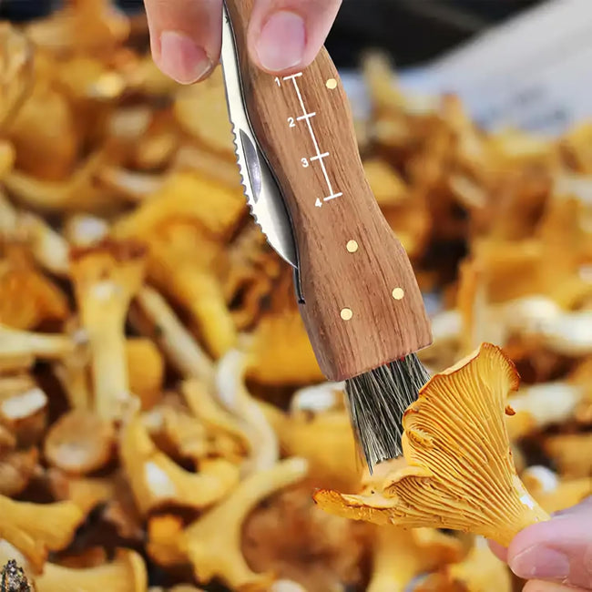 Miyake Folding Mushroom Knife with Brush & Wood Handle Hover Image